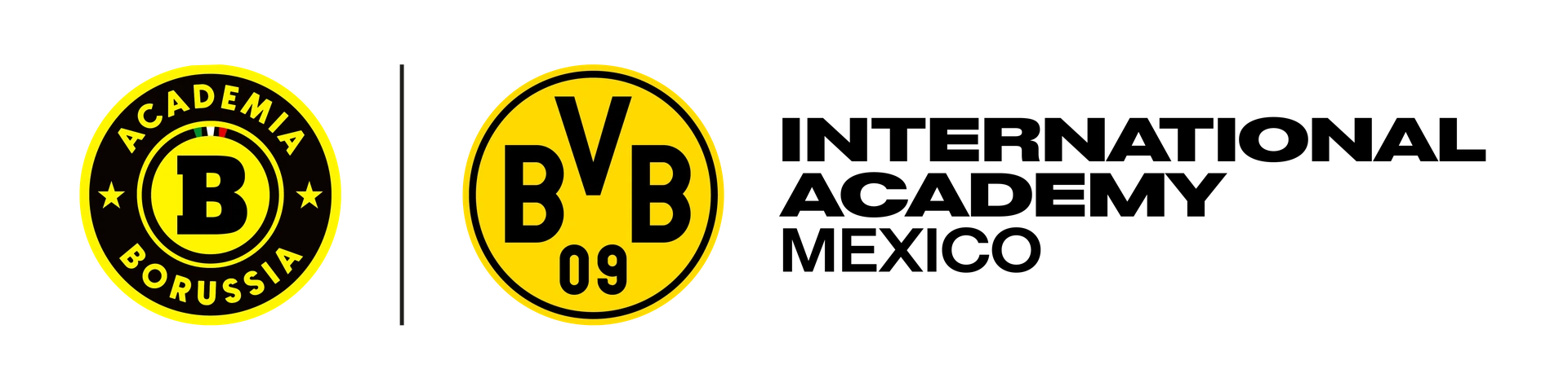 BVB International Academy México